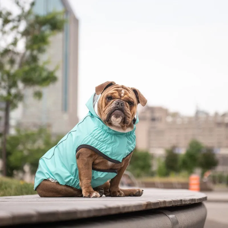 Reversible Neon Aqua & Iridescent Raincoat for Dogs