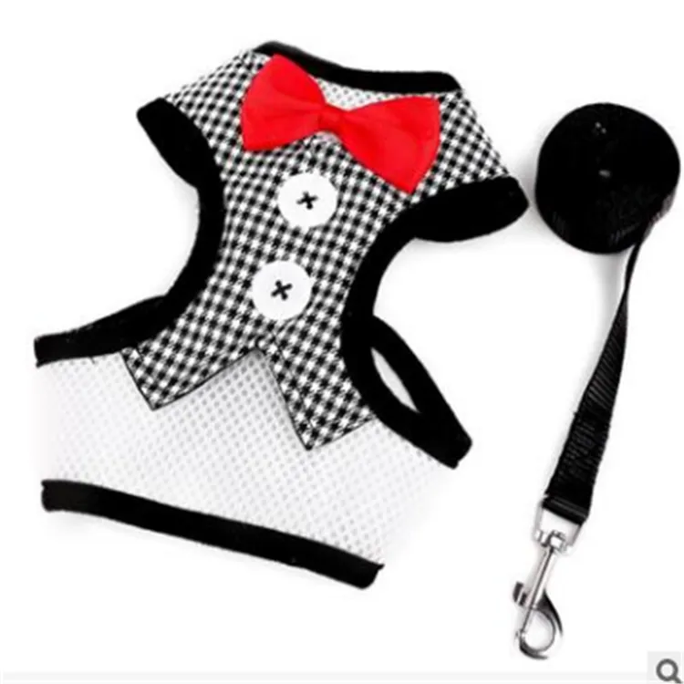 Super Lightweight Pet Harness Leash