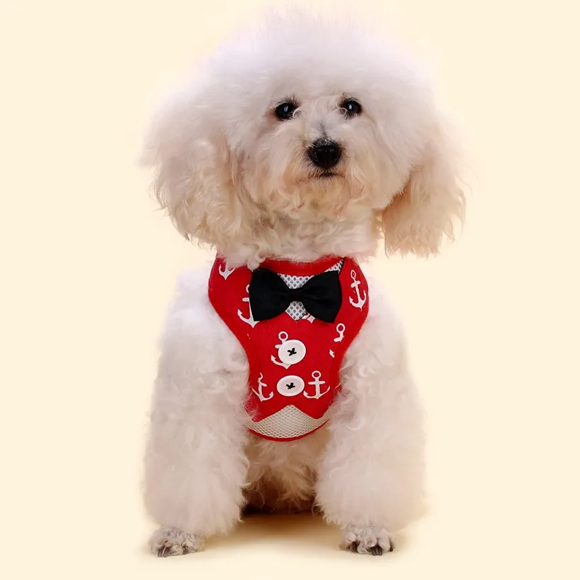 Super Lightweight Pet Harness Leash