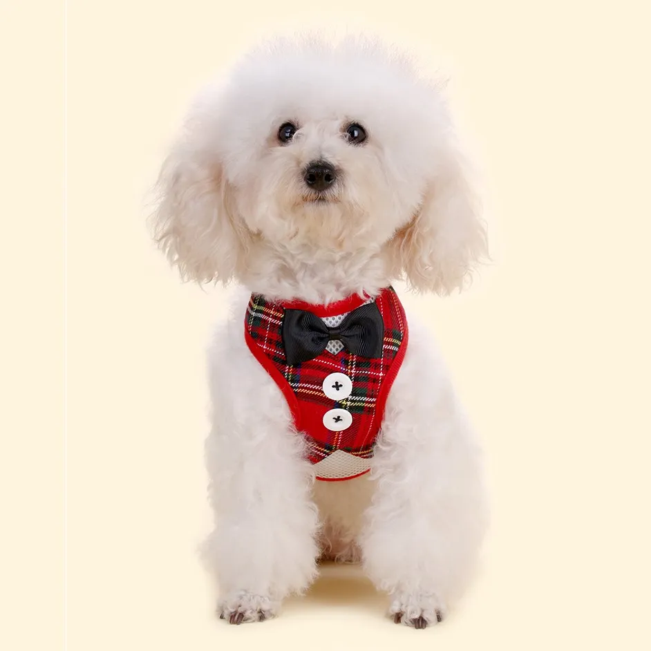 Super Lightweight Pet Harness Leash