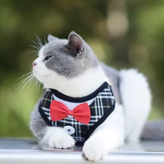Super Lightweight Pet Harness Leash