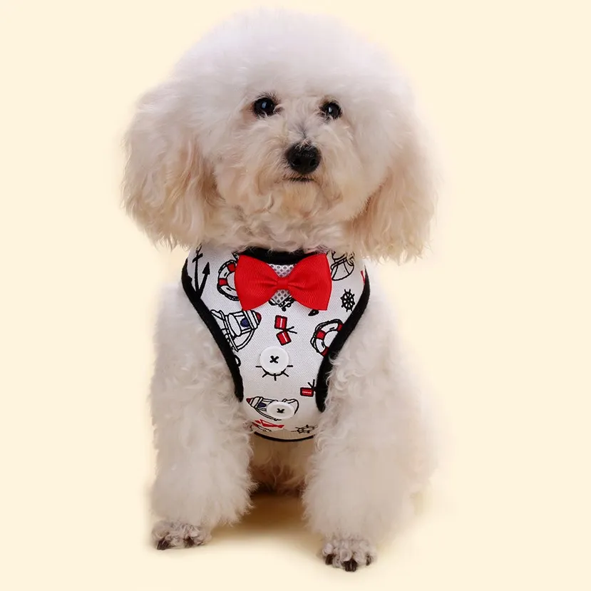 Super Lightweight Pet Harness Leash
