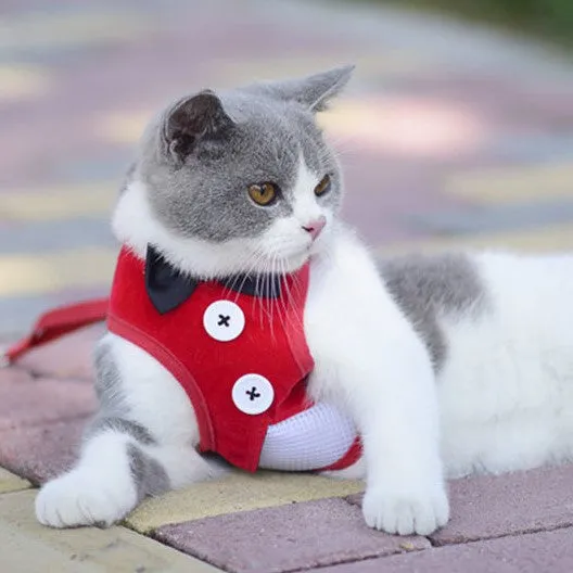 Super Lightweight Pet Harness Leash
