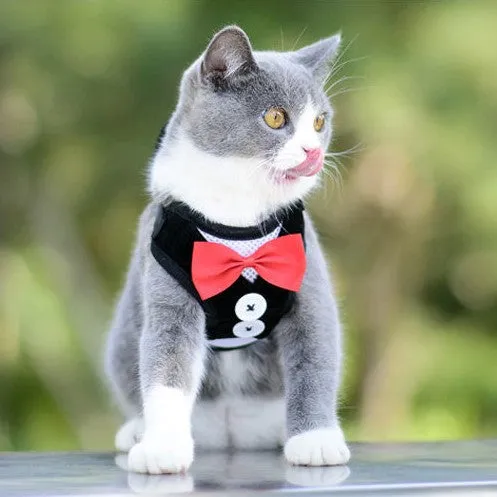 Super Lightweight Pet Harness Leash