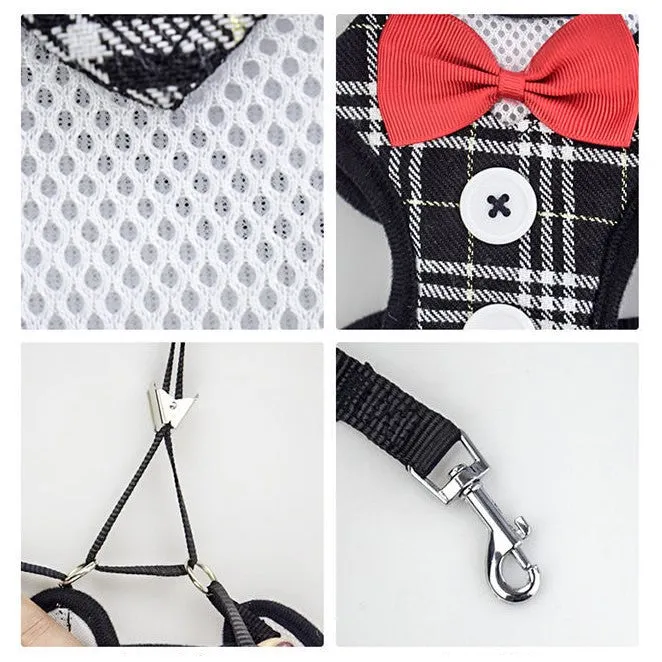 Super Lightweight Pet Harness Leash