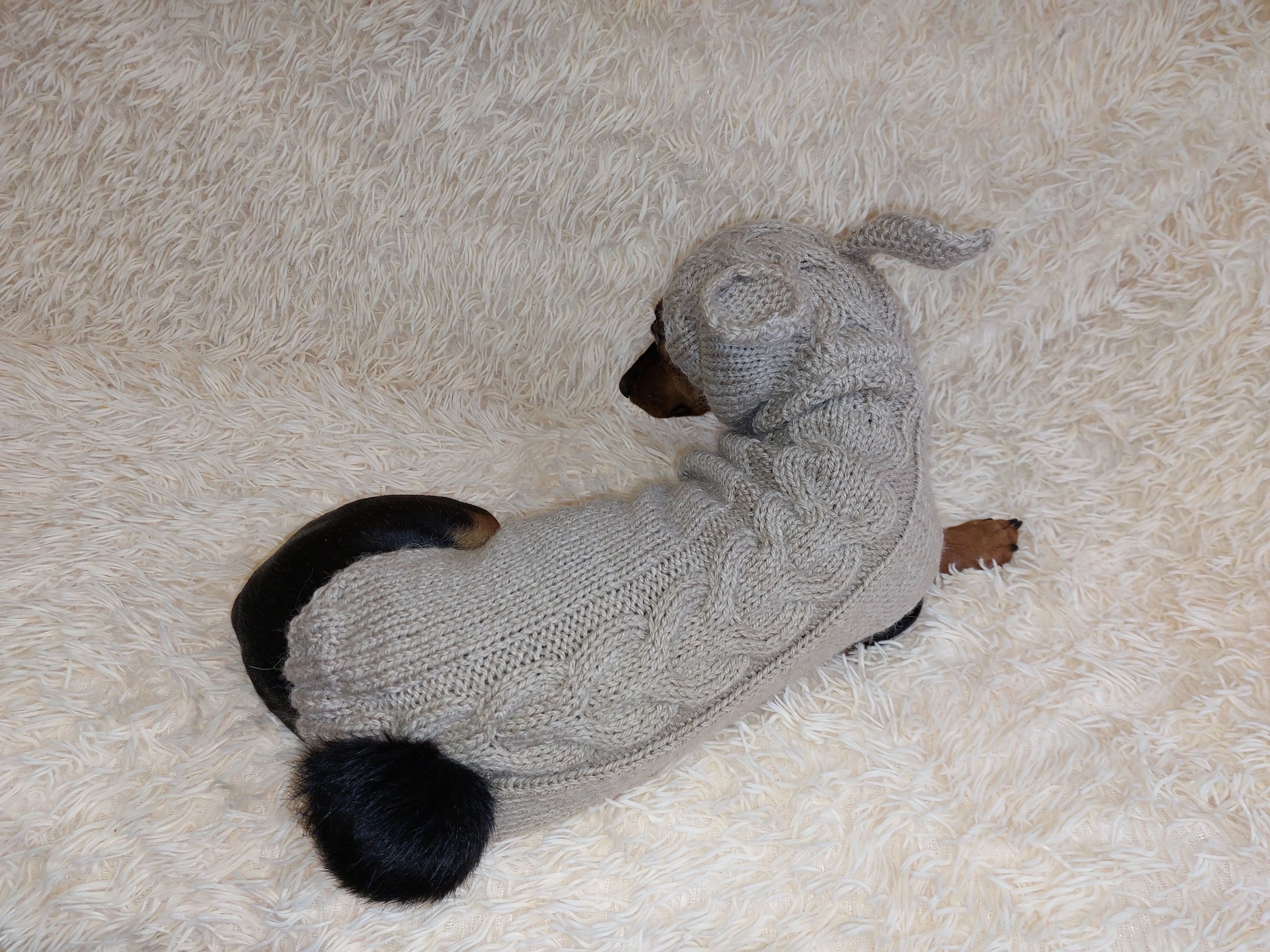 Sweatshirt for pet rabbit