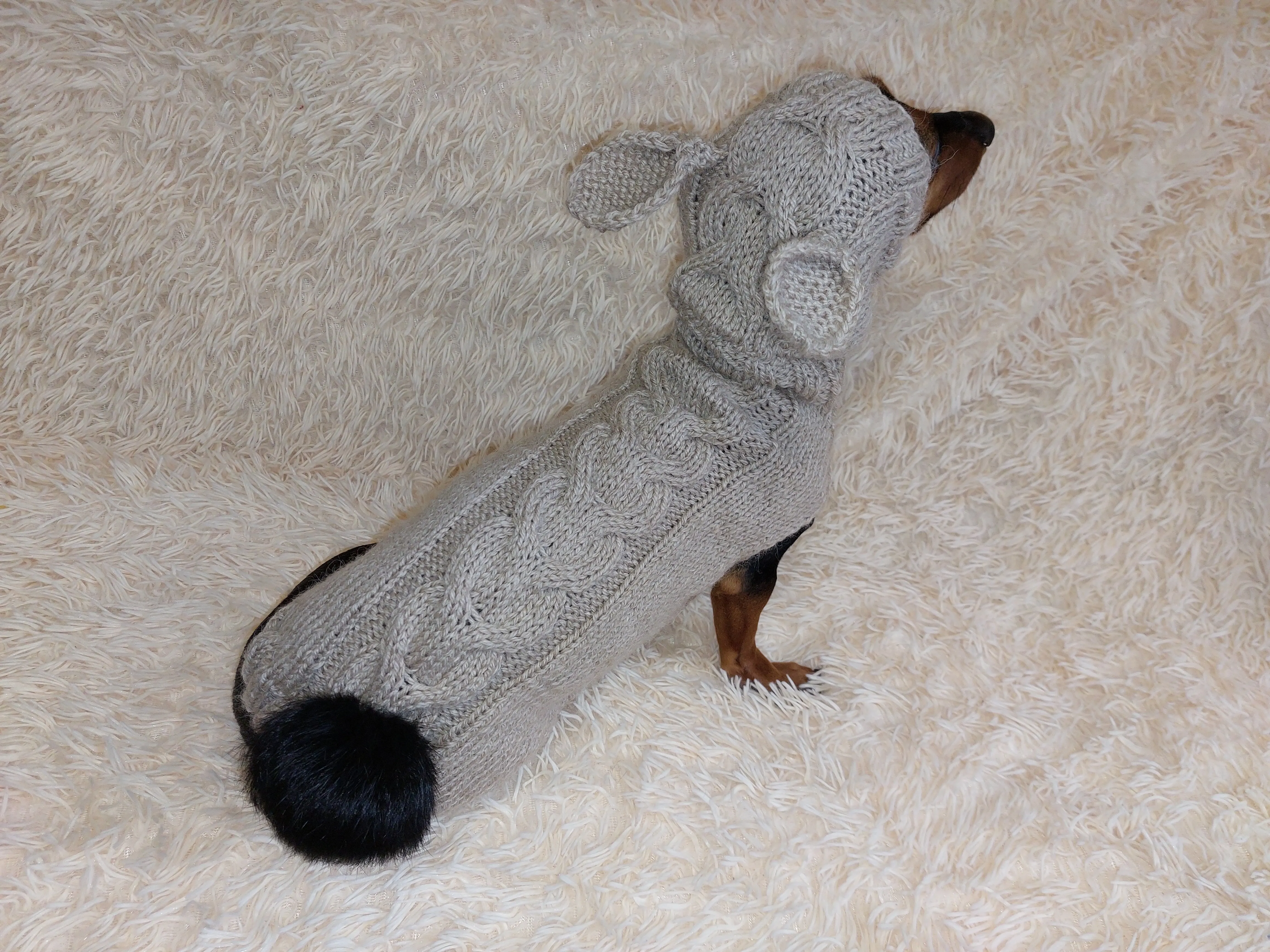 Sweatshirt for pet rabbit