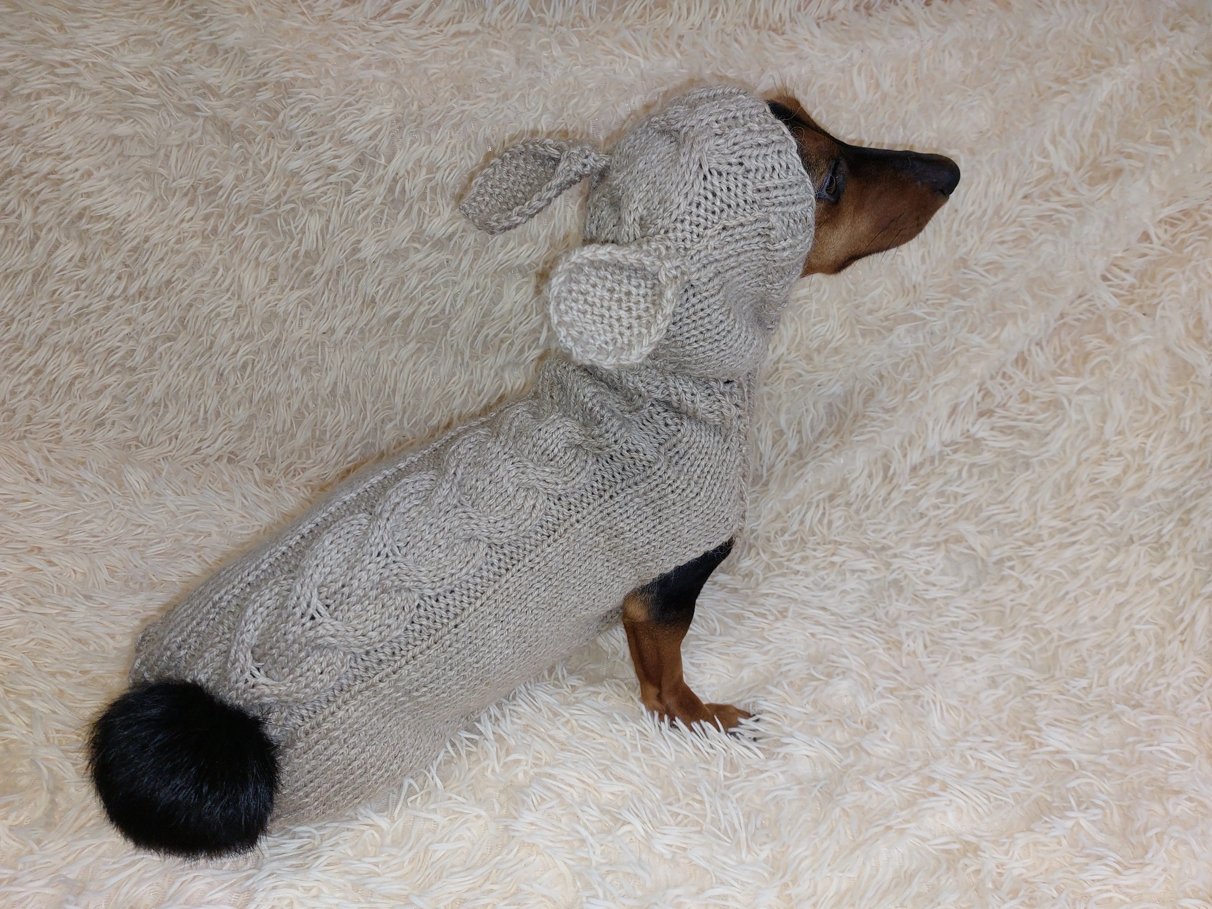 Sweatshirt for pet rabbit