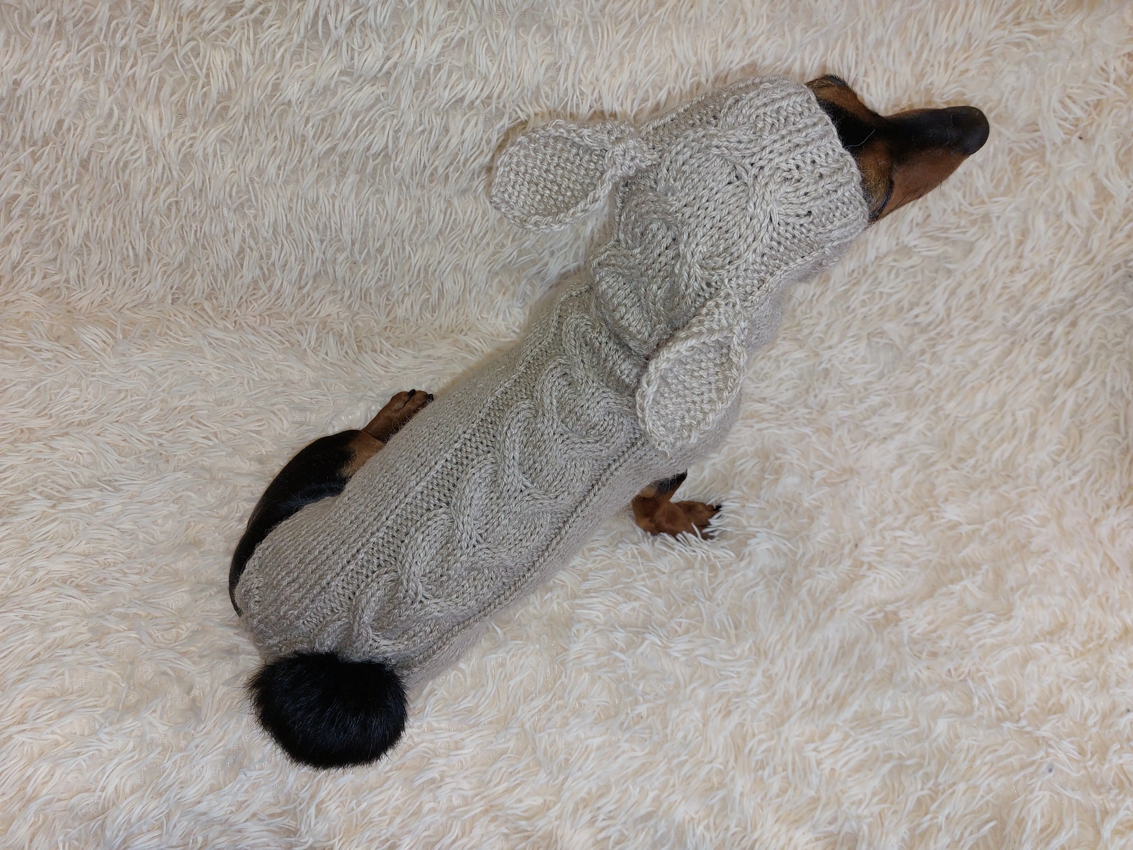 Sweatshirt for pet rabbit