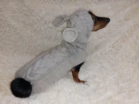 Sweatshirt for pet rabbit