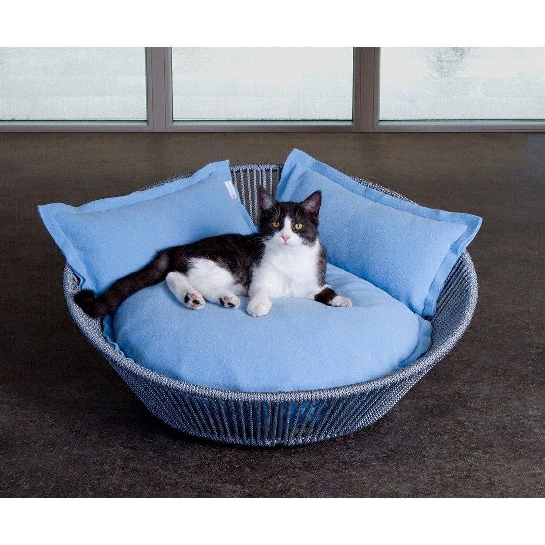 The Siro Twist By Pet Interiors - Medium Orthopaedic Dog Bed