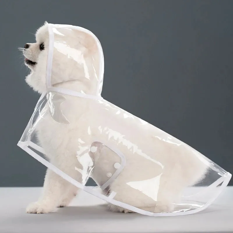Transparent Raincoat for Dogs - Durable, Windproof, and Waterproof
