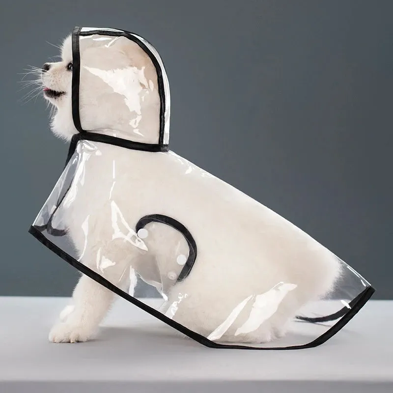 Transparent Raincoat for Dogs - Durable, Windproof, and Waterproof