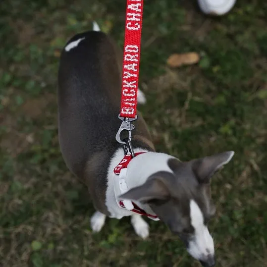 Trip Leash - Red