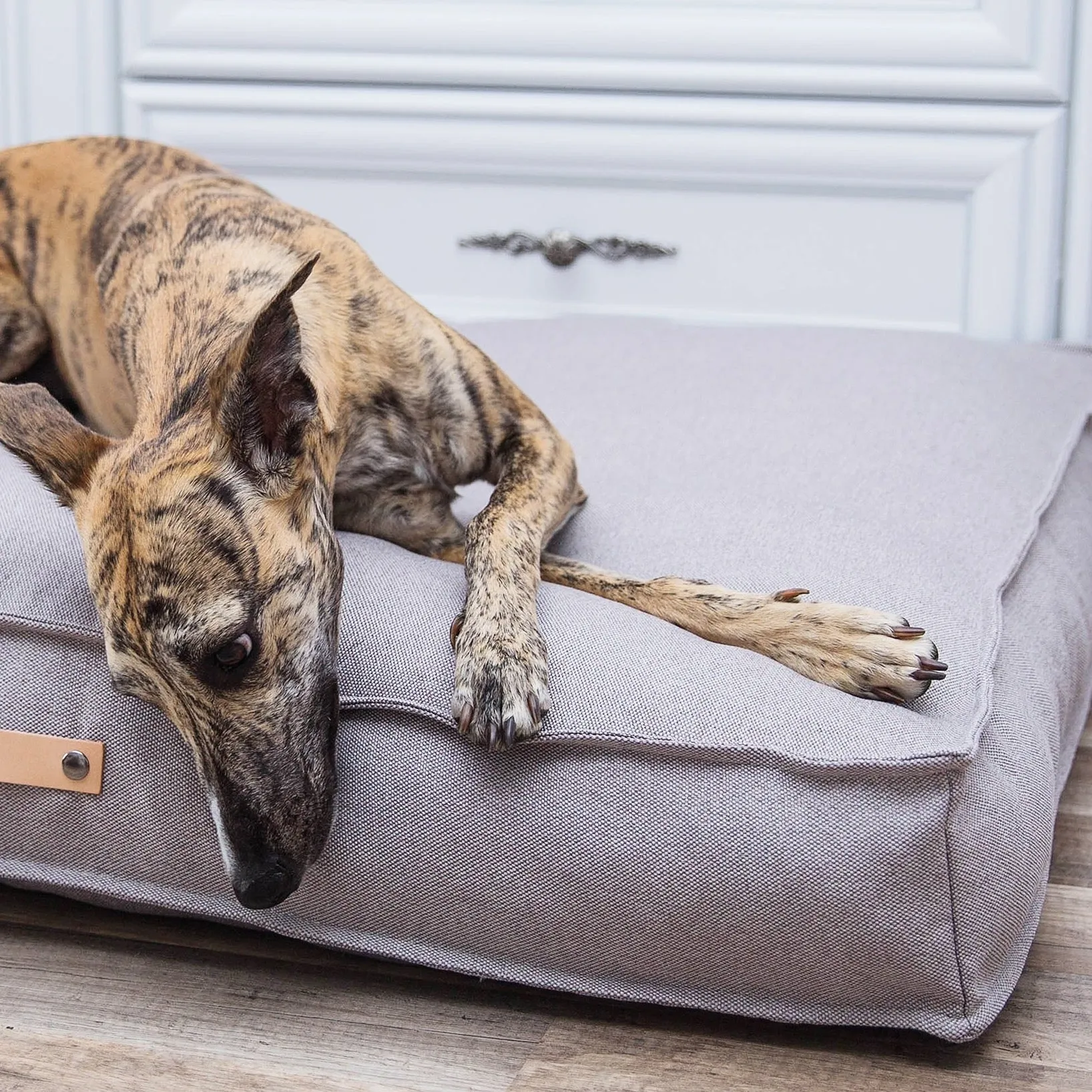 TÖVE Dog Cushion