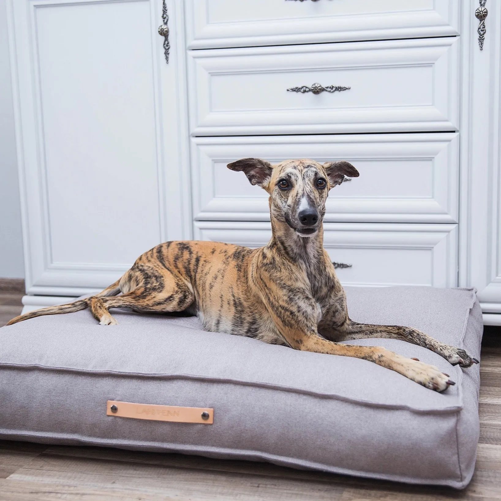 TÖVE Dog Cushion