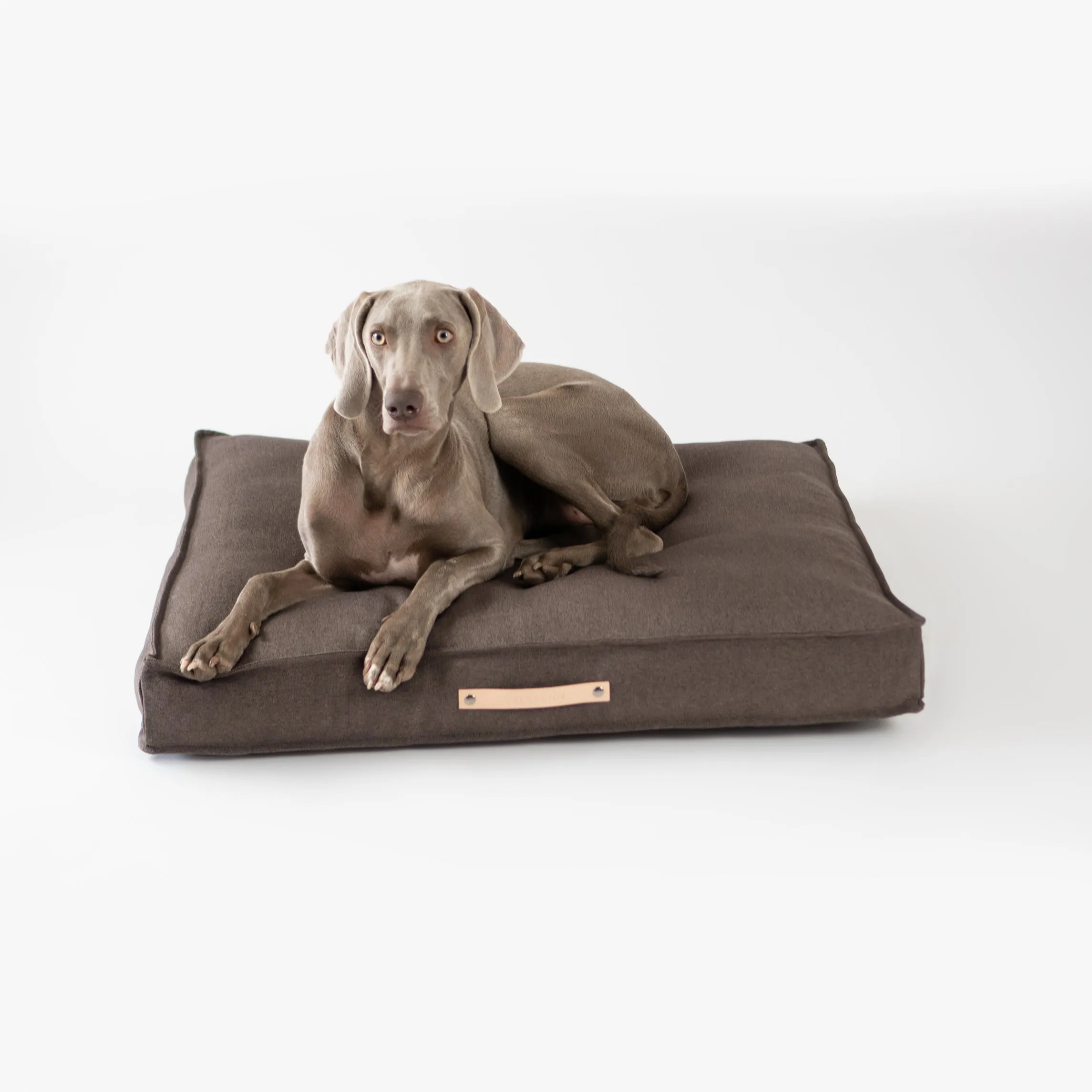 TÖVE Dog Cushion