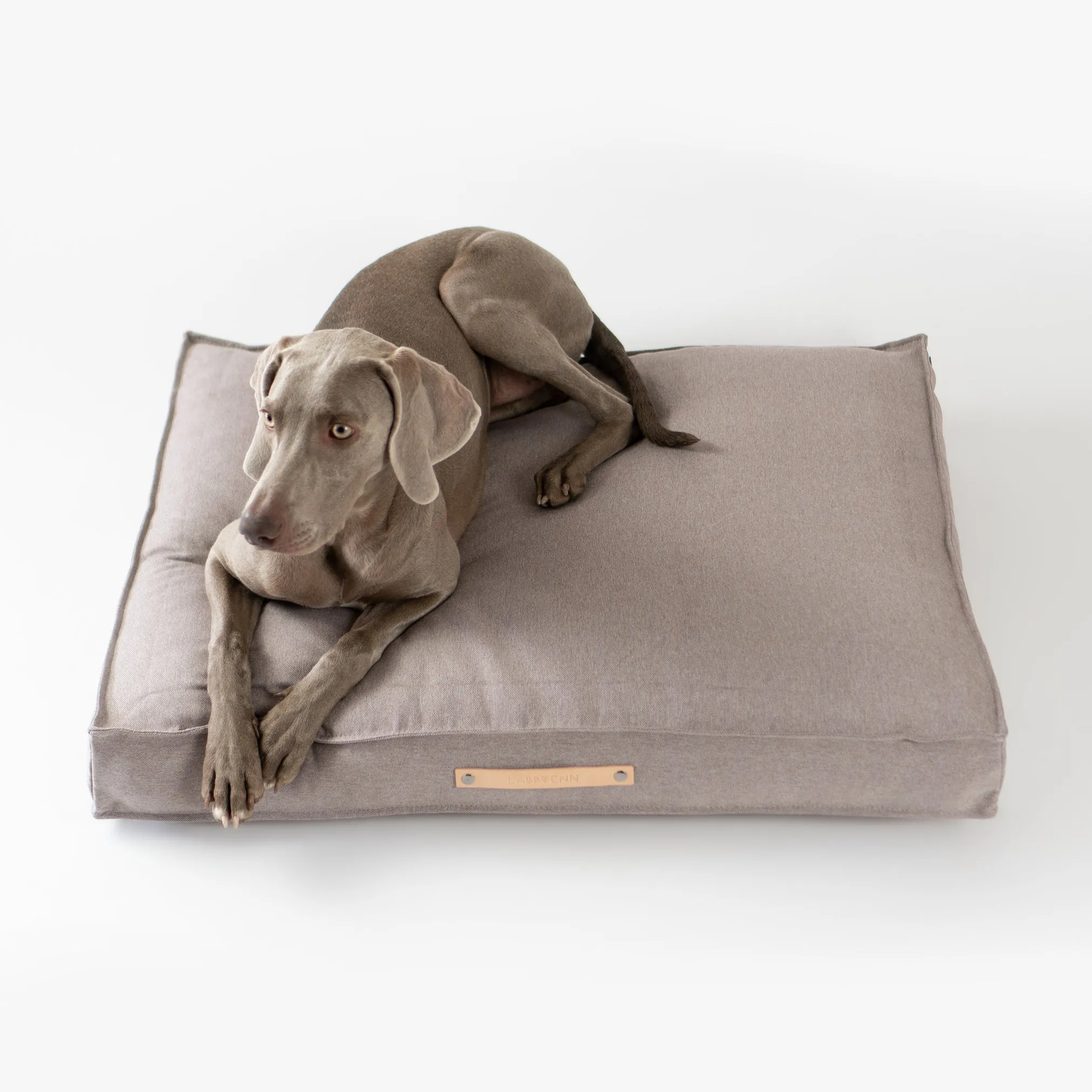 TÖVE Dog Cushion