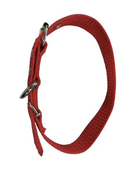 Vibrant Red Dog Collar for Medium Breeds