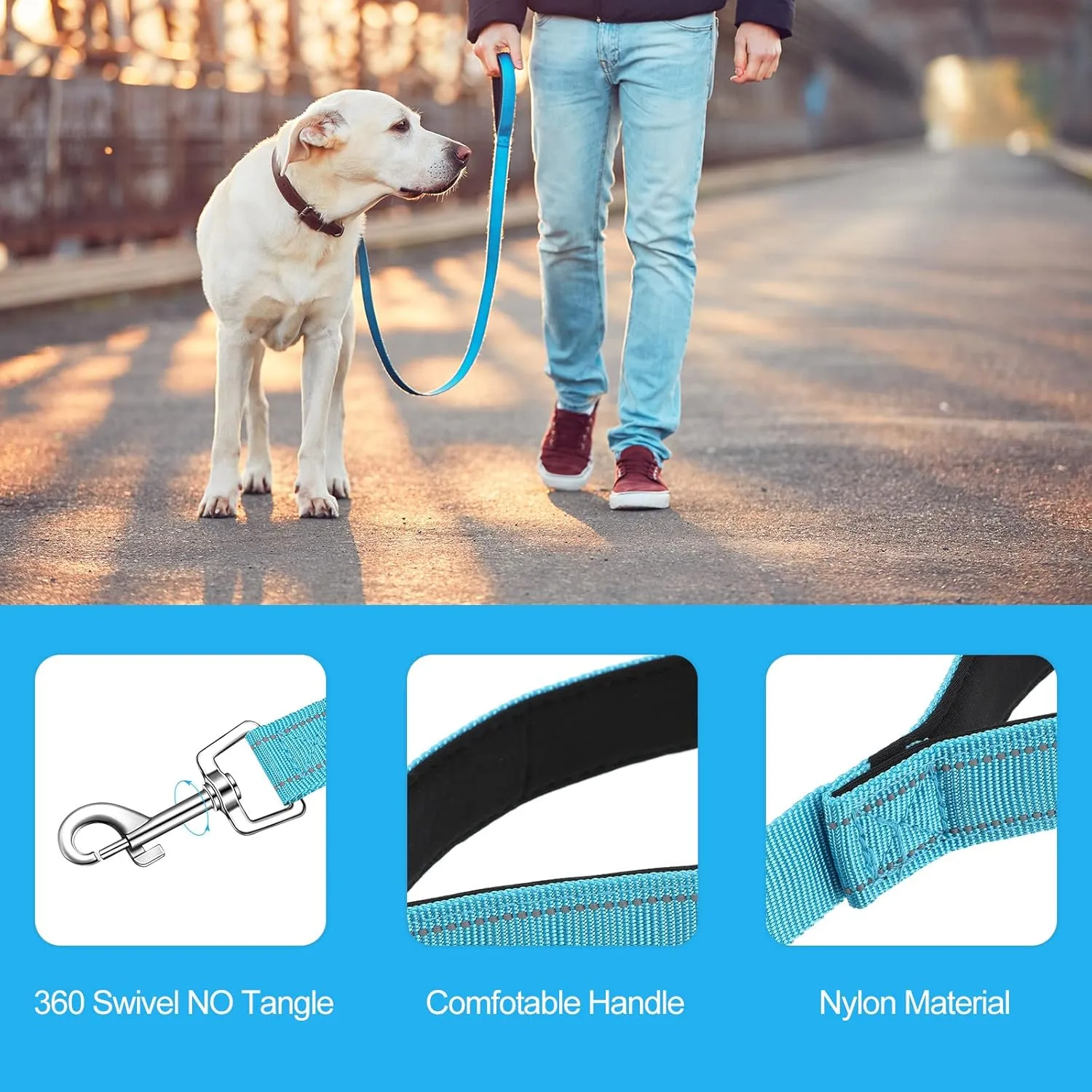 Vicenpal 12 Pcs Double Sided Reflective Dog Leash with Soft Padded Handle, Bulk Nylon Animal Leashes for Medium and Large Dogs Heavy Duty Animal Leash for Walking, Training, 6 Colors(5 ft,Cute Colors)