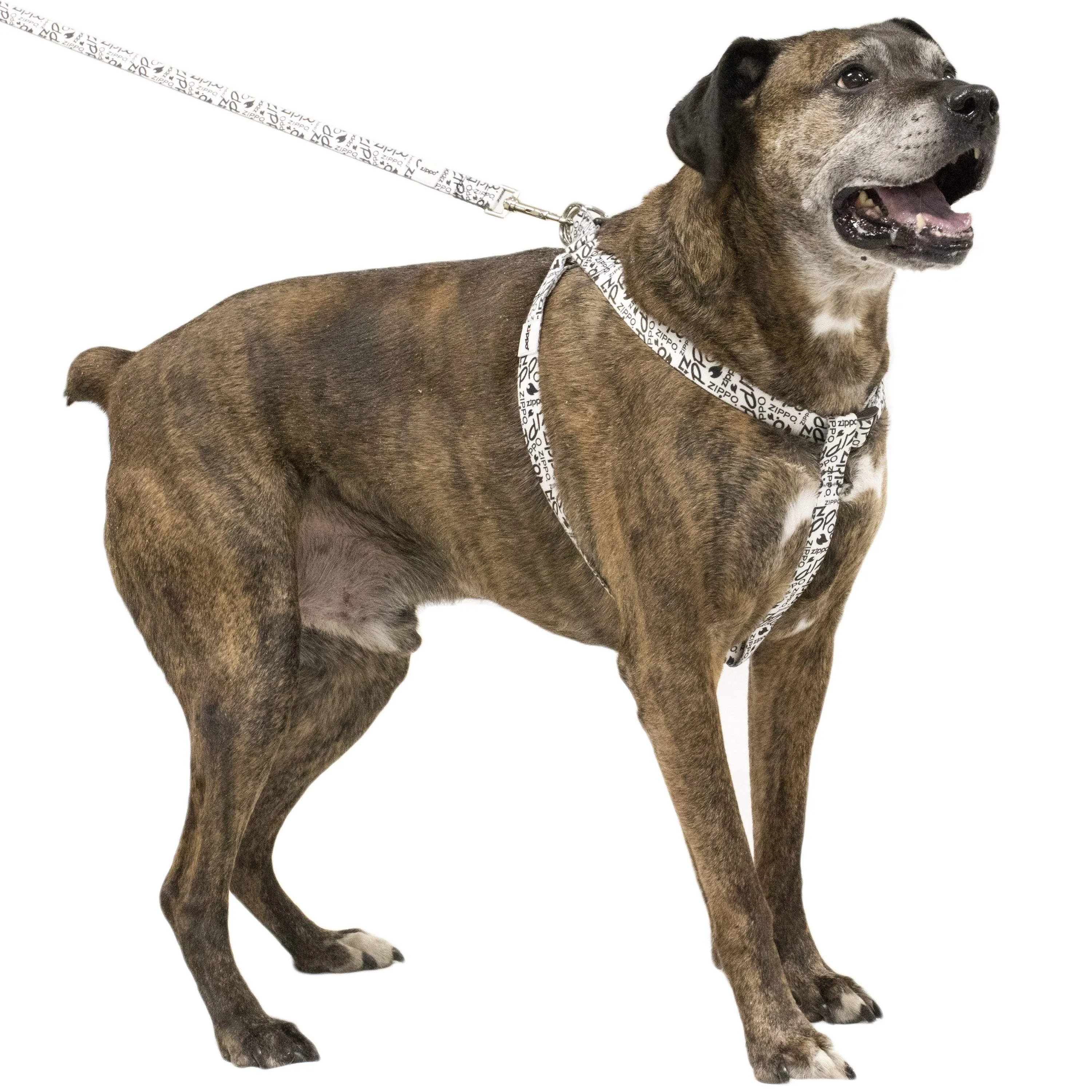 White Nylon Pet Harness